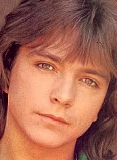 大卫·卡西迪 David Cassidy