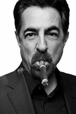 乔·曼特纳 Joe Mantegna